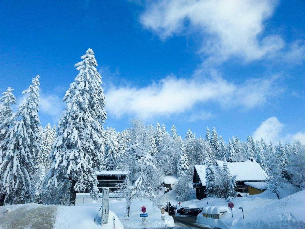 H&P Touristik Residenz Grafenmatt Gra-3-1 Feldberg (Baden-Wurttemberg) Exterior foto